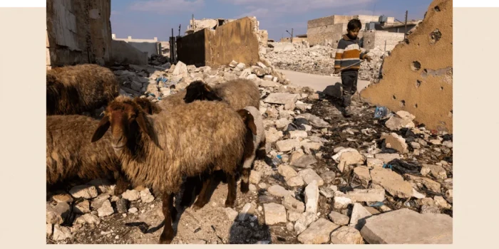 Սիրիան առանց Ասադների ծանր ու ճնշող բեռի՝ թեթևացել է, բայց ն...