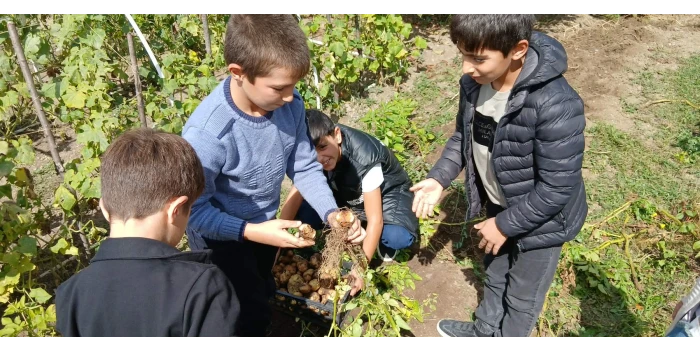 Հայտնի են «Հայաստանի դպրոցական լավագույն մինի այգի 2025» մրց...