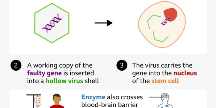 ՕԼԻՎԵՐԸ ՀԱՂԹԱՀԱՐՈՒՄ Է ԱՆԲՈՒԺԵԼԻ ՀԻՎԱՆԴՈՒԹՅՈՒՆԸ. ԱՇԽԱՐՀՈՒՄ ԱՌ...