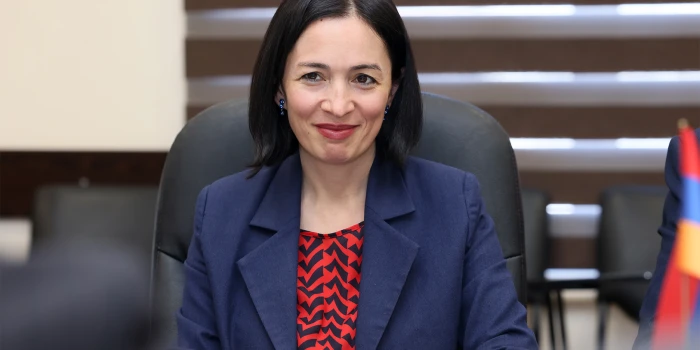 Վրաստանի խորհրդարանի մշակույթի հանձնաժողովի անդամների հետ քն...