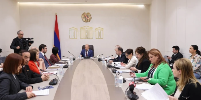 Քննարկվել են պատմության հուշարձանների և մշակութային աճուրդնե...