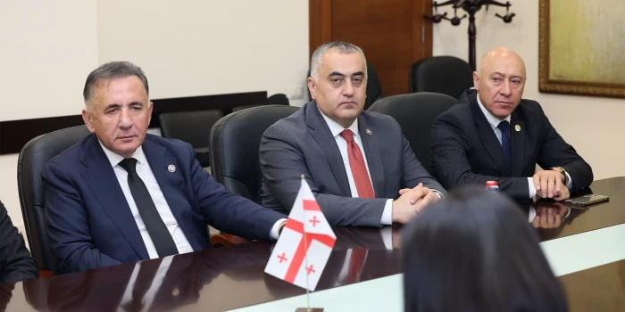 Վրաստանի խորհրդարանի մշակույթի հանձնաժողովի անդամների հետ քն...