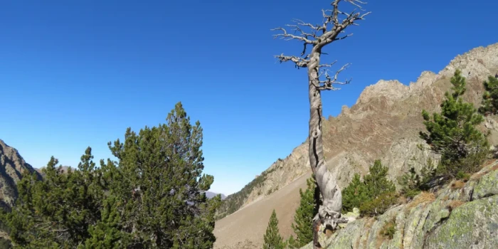 Հրաշալի բացահայտում. 1345-ի հրաբխային ժայթքումը կարող էր սան...