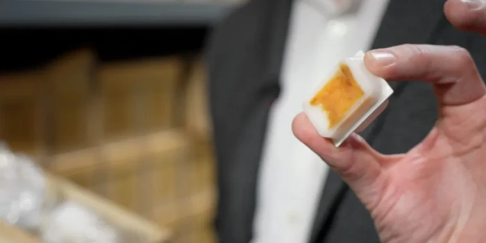 Հարյուրամյա ուռուցքային նմուշները կարող են բացահայտել, թե ին...